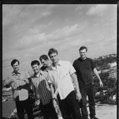 Seaweed - List pictures