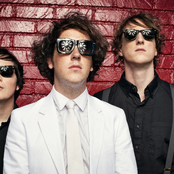 Wombats - List pictures