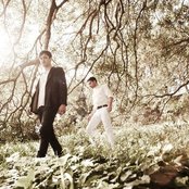 Gypsy And The Cat - List pictures