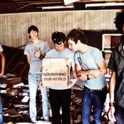 The Blood Brothers - List pictures