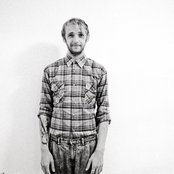 Dollkraut - List pictures