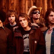 Lovebugs - List pictures