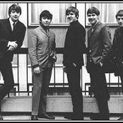 The Animals - List pictures
