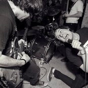 Night Birds - List pictures