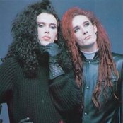 Dead Or Alive - List pictures