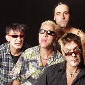 Terrorgruppe - List pictures