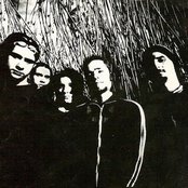 Reveille - List pictures