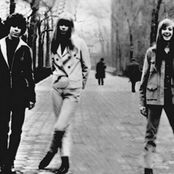 The Shangri-las - List pictures