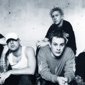 Lifer - List pictures