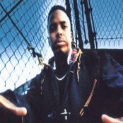 Domino - List pictures