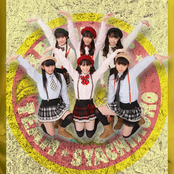 Team Syachihoko - List pictures