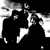 Kula Shaker - List pictures