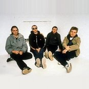 Lo Fidelity Allstars - List pictures