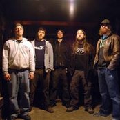 The Red Chord - List pictures