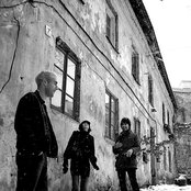 Zoot Woman - List pictures