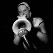 The Cows - List pictures