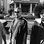 Delinquent Habits - List pictures