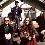 Able Tasmans - List pictures