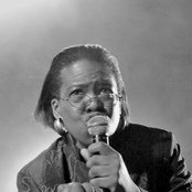 Club Des Belugas - List pictures