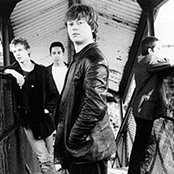 The Sound - List pictures