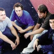 Shabutie - List pictures