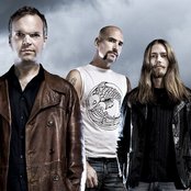 Falconer - List pictures