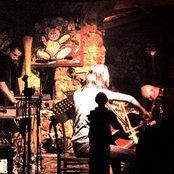 Blind Cave Salamander - List pictures