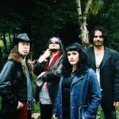 Tito & Tarantula - List pictures