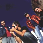 Molotov - List pictures