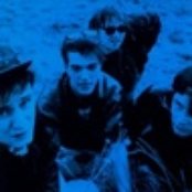 The Bates - List pictures