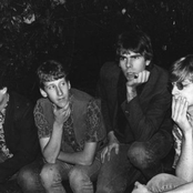 The Green Pajamas - List pictures