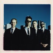 Silkworm - List pictures