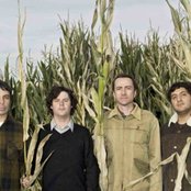 The Shins - List pictures