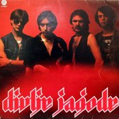 Divlje Jagode - List pictures