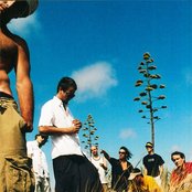 Jamaram - List pictures