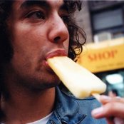 Albert Hammond, Jr. - List pictures