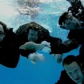 Beta Band - List pictures