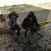 Los Delinqüentes - List pictures