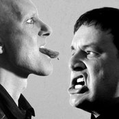 Slick Idiot - List pictures