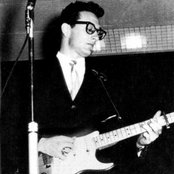 Holly Buddy - List pictures