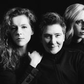 Case/lang/veirs - List pictures