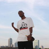 Stu Cat - List pictures