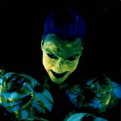 Bile - List pictures