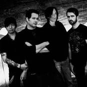 Forty Foot Echo - List pictures