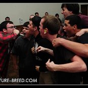 Revenge - List pictures