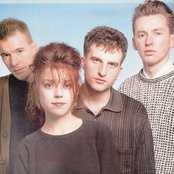 The Sundays - List pictures