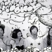 Bonobos - List pictures