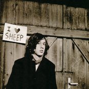 Adam Green - List pictures