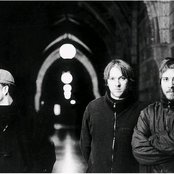 Doves - List pictures