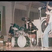 Budgie - List pictures